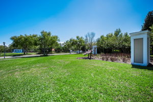 Waterleaf7