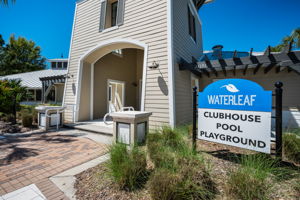 Waterleaf13