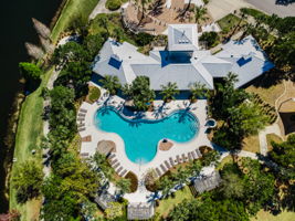 Waterleaf15
