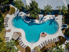 Waterleaf16