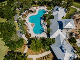Waterleaf20