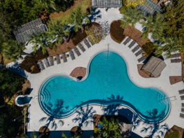 Waterleaf21