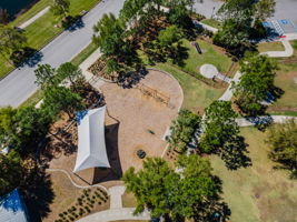 Waterleaf27