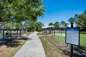 Waterleaf28