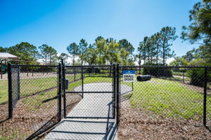 Waterleaf29