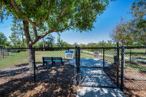 Waterleaf30