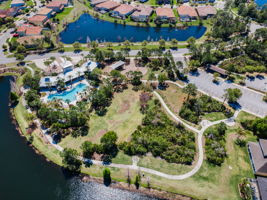 Waterleaf31