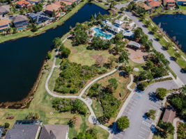 Waterleaf33