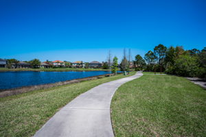 Waterleaf36