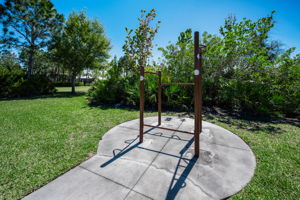 Waterleaf37