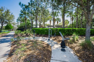 Waterleaf38