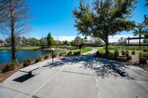 Waterleaf39