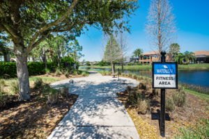 Waterleaf40