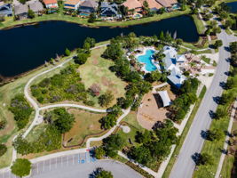 Waterleaf42