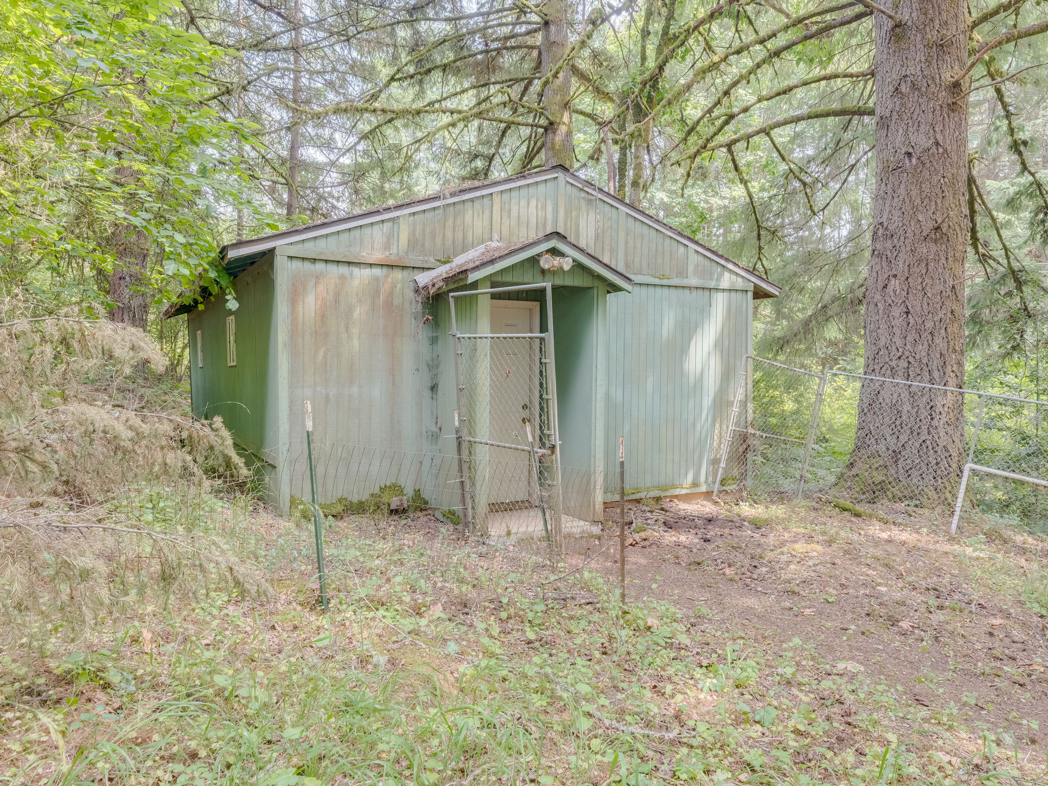  Photo 25