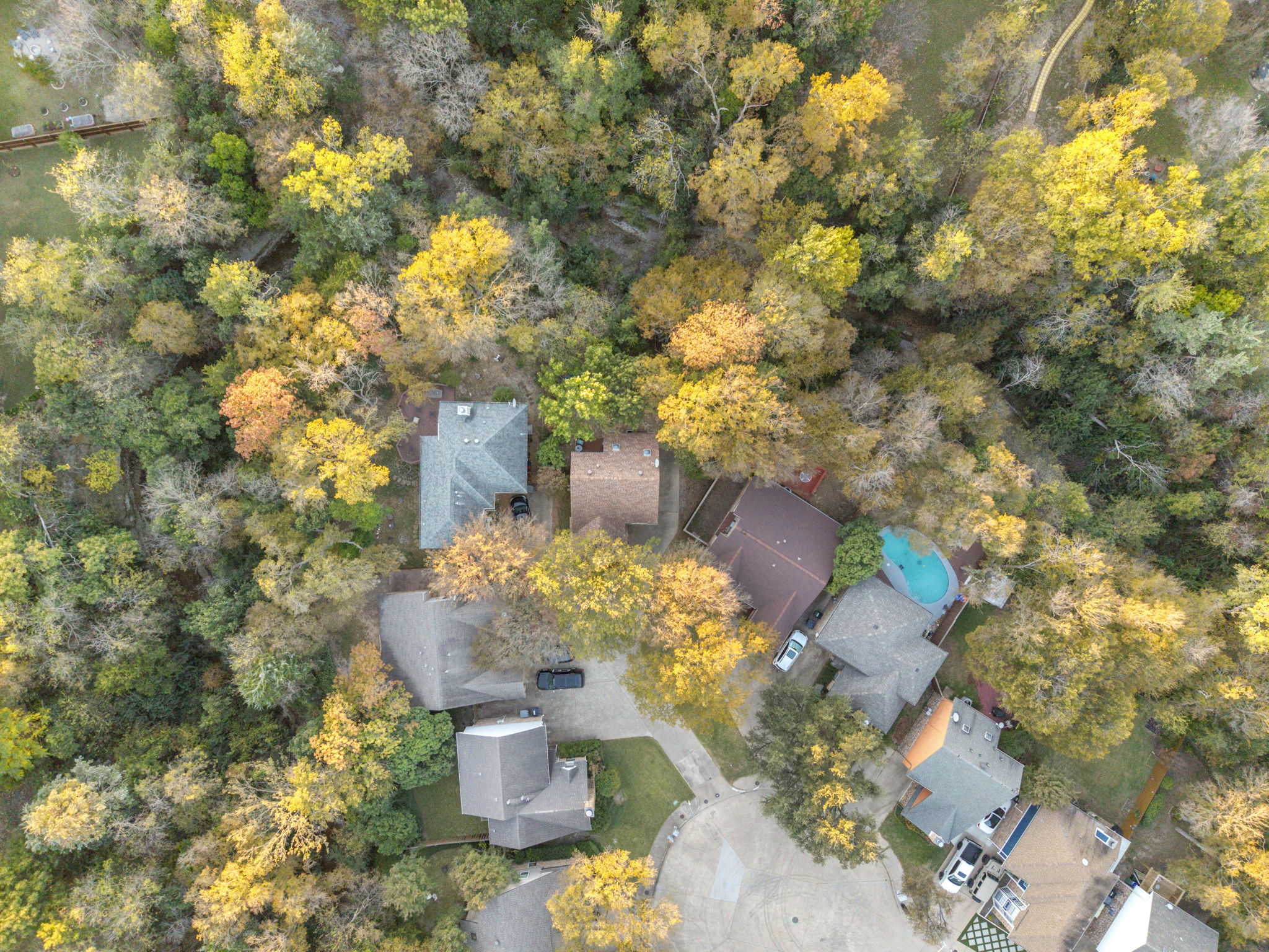 Nest amongst the trees!