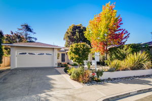 Marlin Ave-003