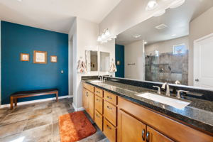 Primary Bathroom (3)