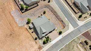 Birds Eye