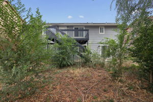 Rear Exterior