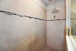 Bath1 Shower - 495A4095 (1)