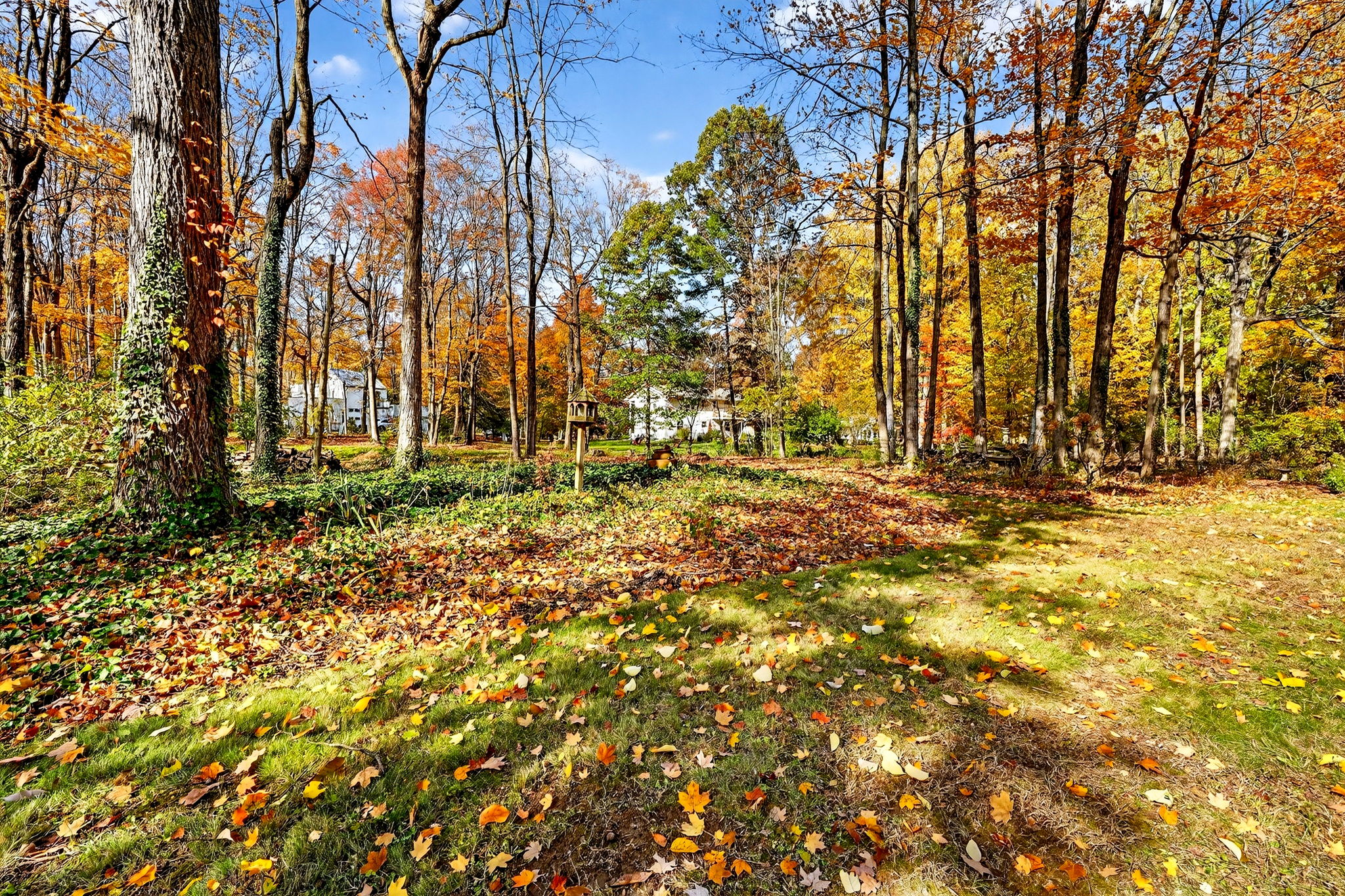 13365 Milnor Rd NW (63)