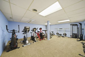  Photo 49