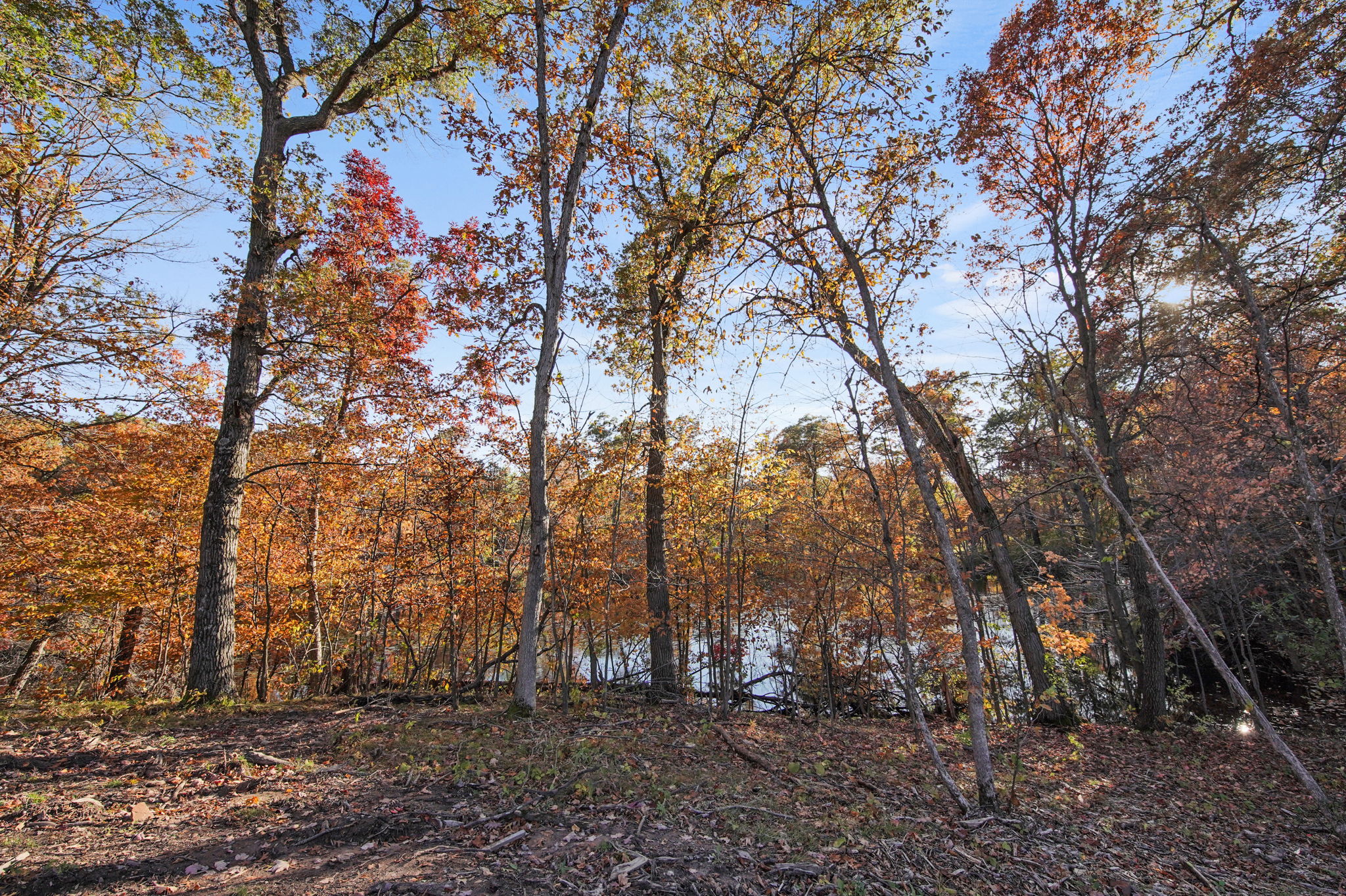  1337 Green Tree Dr, Saint Croix Falls, WI 54024, US Photo 31