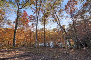  1337 Green Tree Dr, Saint Croix Falls, WI 54024, US Photo 30