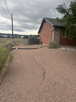  Photo 43