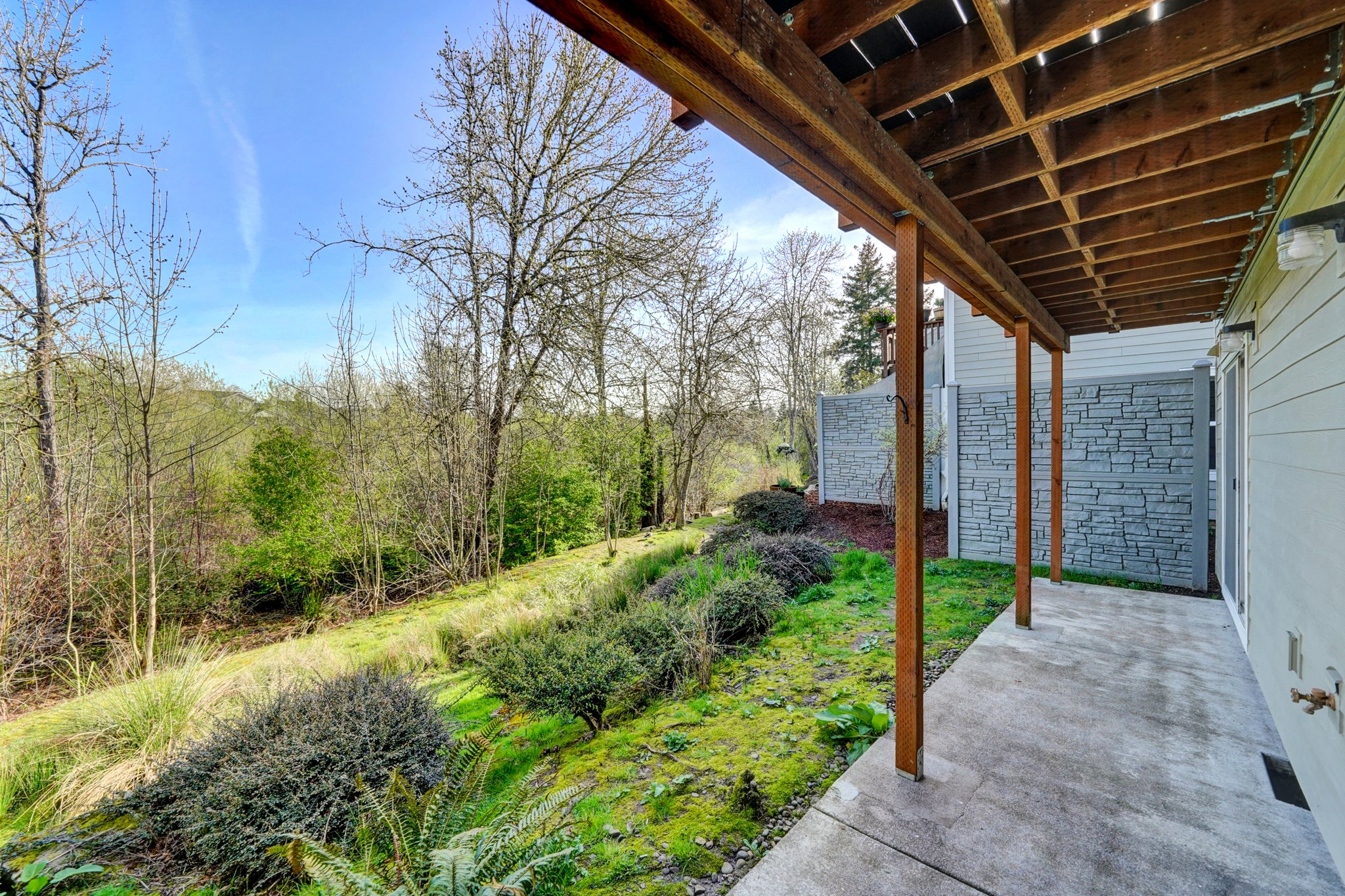 View of wetland from patio