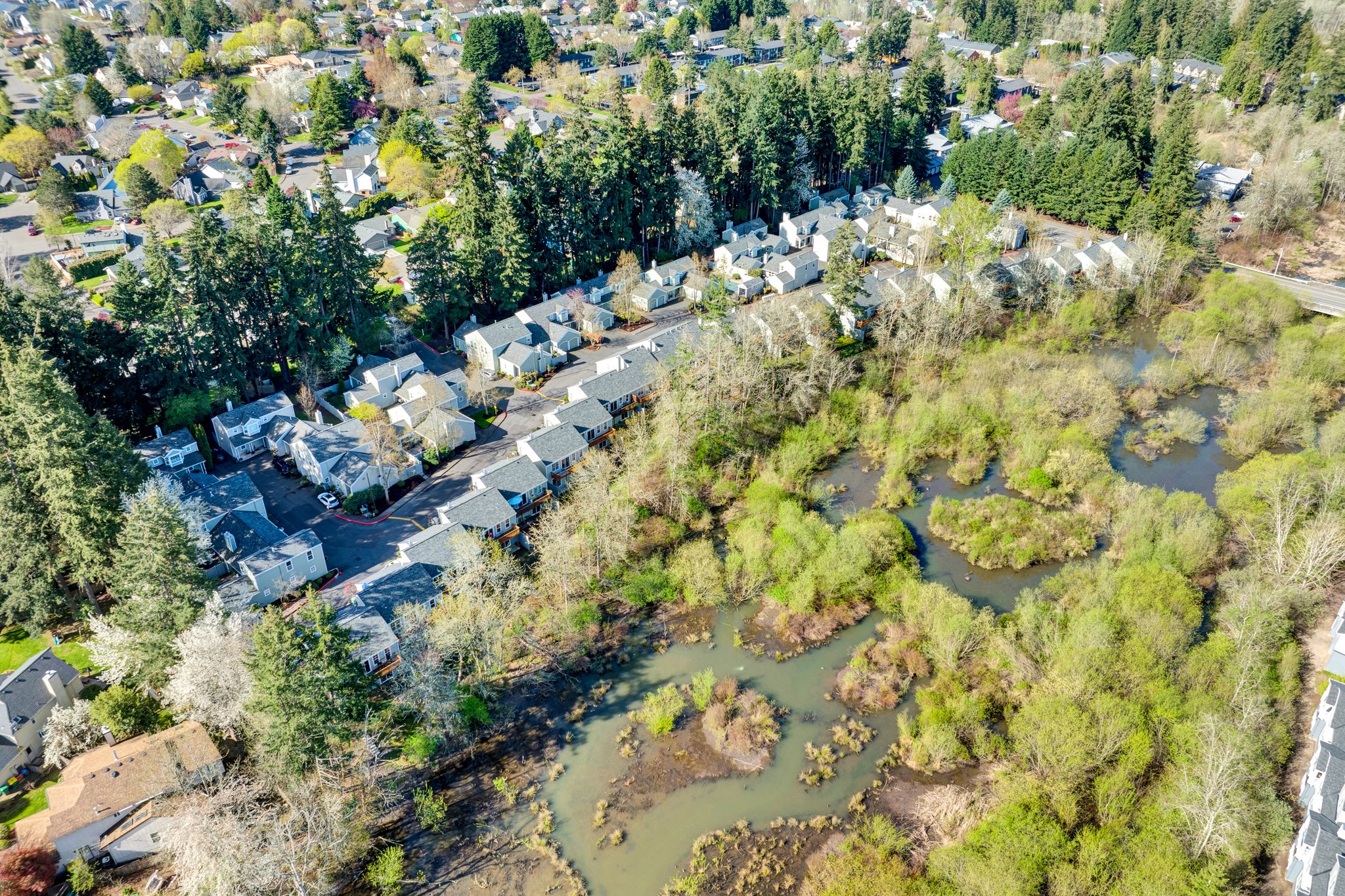 Overview of Summerwood Townhomes & wetlands
