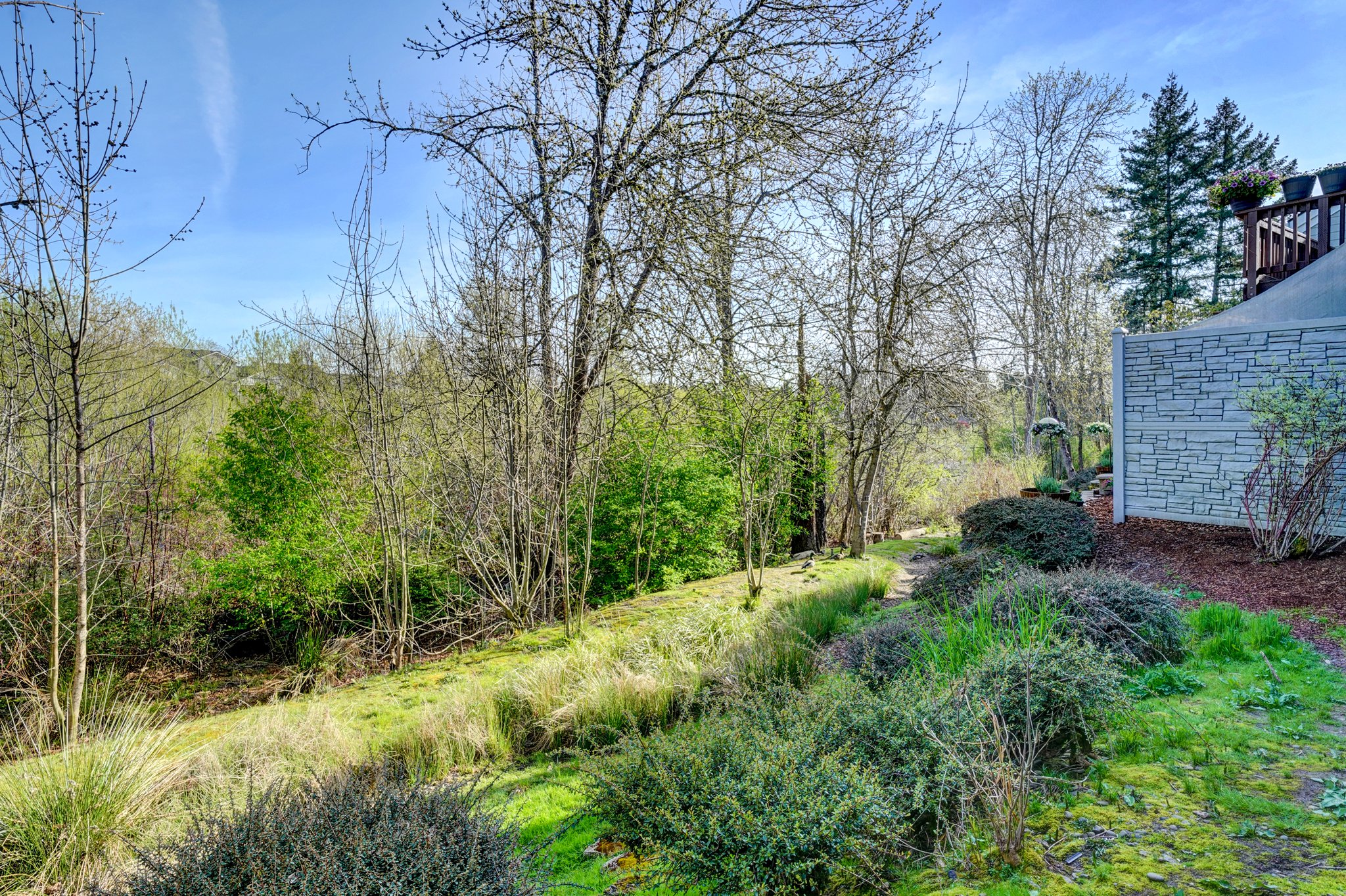 Backyard w/ wetland view