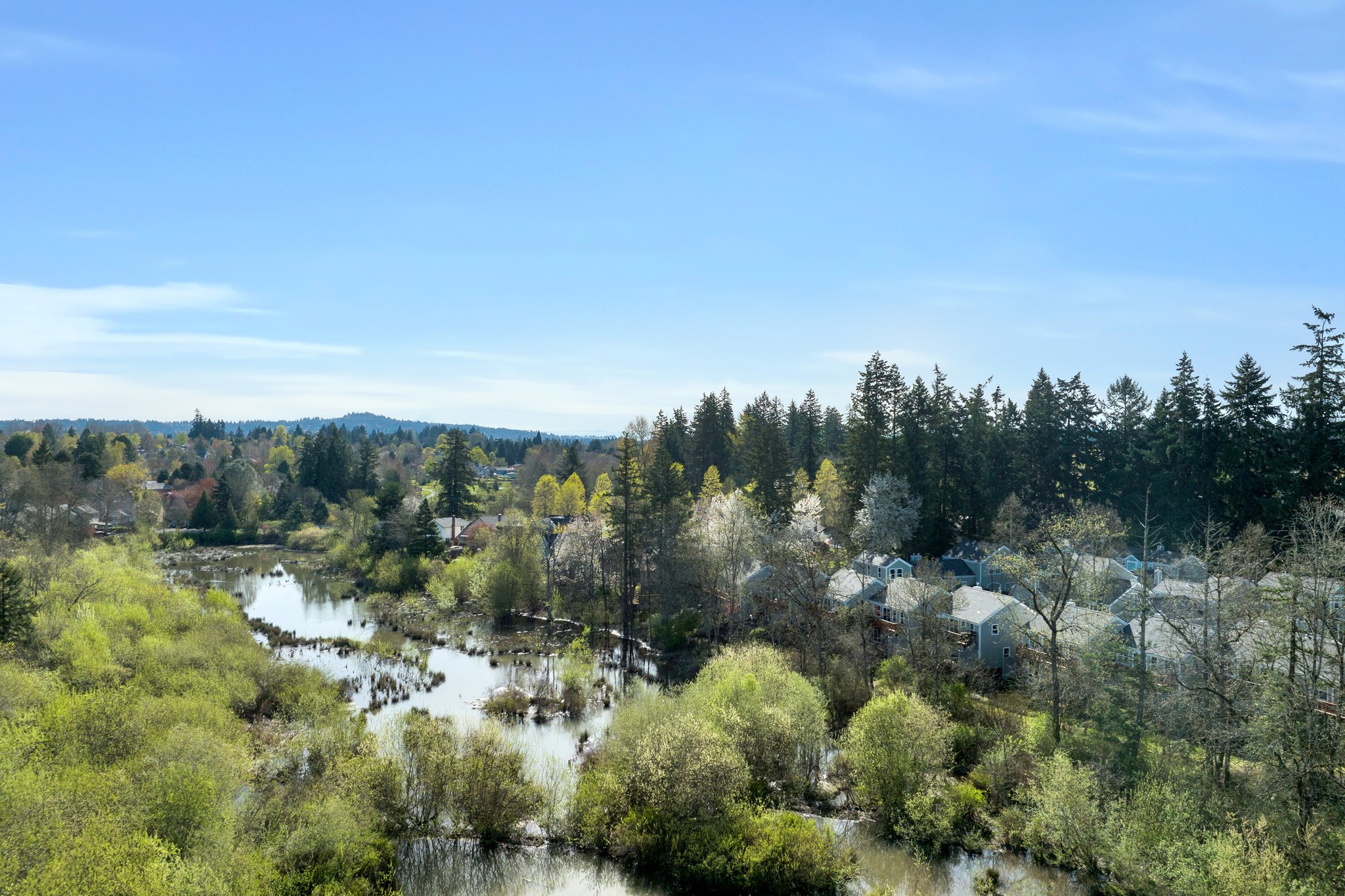 Wetlands behind property-not a floodplain