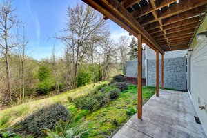 View of wetland from patio