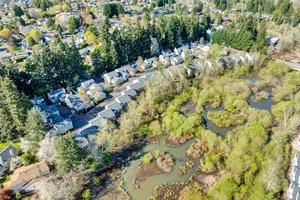 Overview of Summerwood Townhomes & wetlands