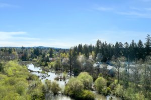 Wetlands behind property-not a floodplain