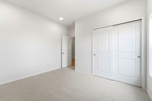 DPB08751