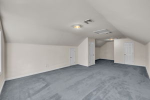 BONUS RM /HOME THEATER/ OFFICE