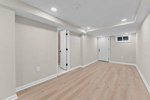 Basement Recreation Room