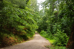 Todd Burns - 13399 Staddens Bridge Rd SE-50