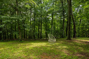 Todd Burns - 13399 Staddens Bridge Rd SE-68