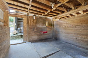  Photo 37
