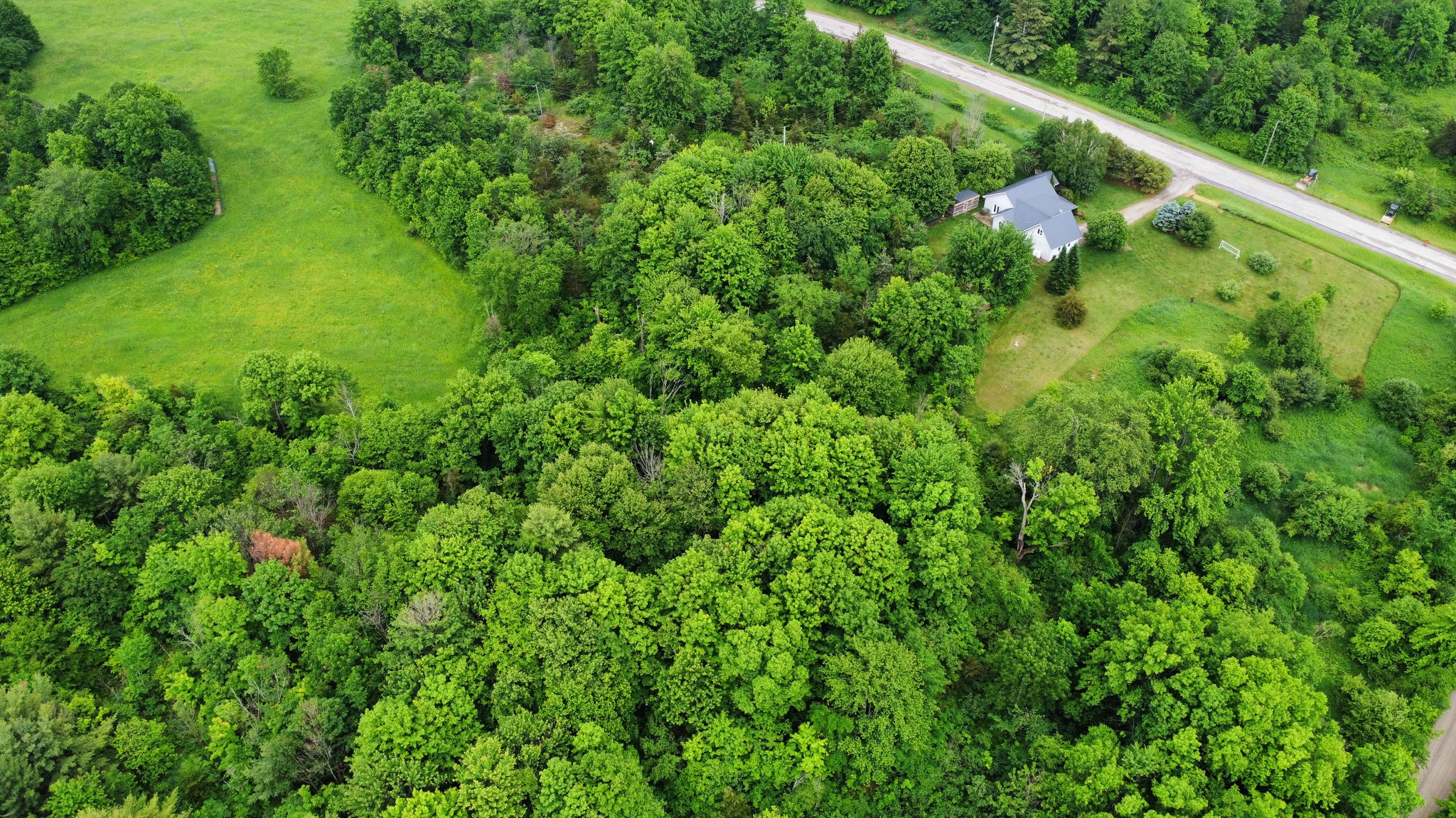 Photo 49