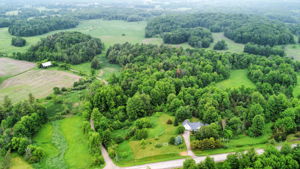  Photo 40