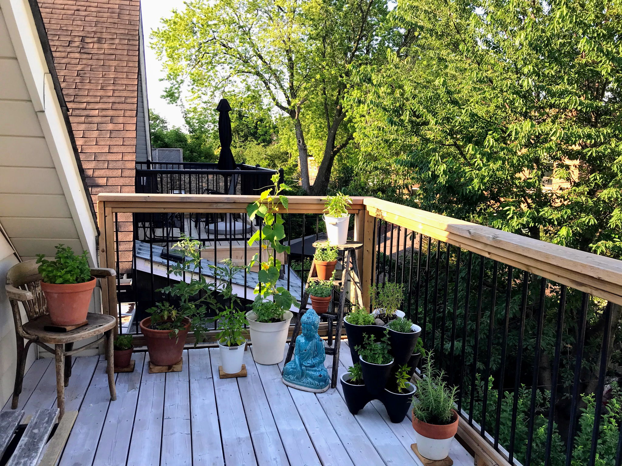 Toronto property showcase — delivered property photograph 98
