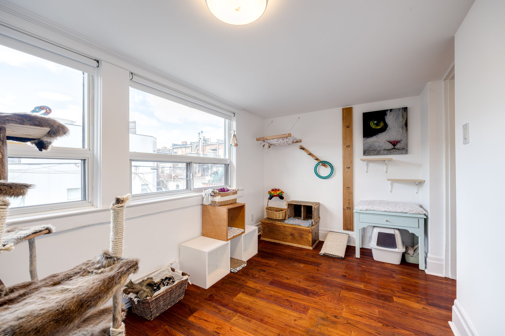 Toronto property showcase — delivered property photograph 40