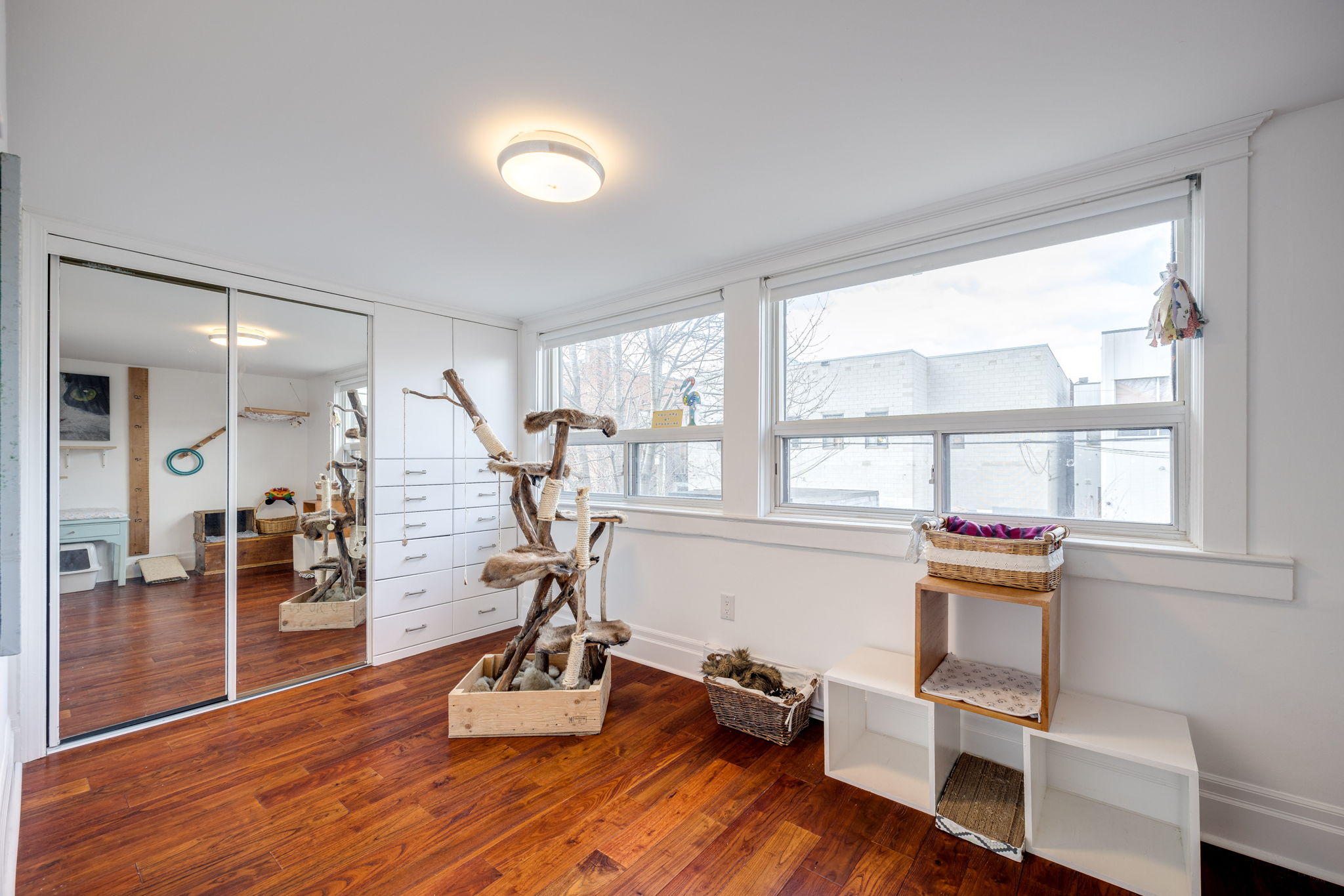 Toronto property showcase — delivered property photograph 39
