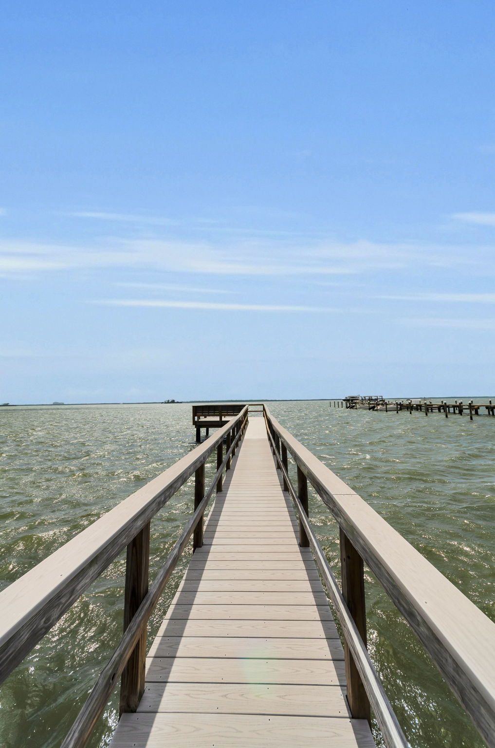 Dock3