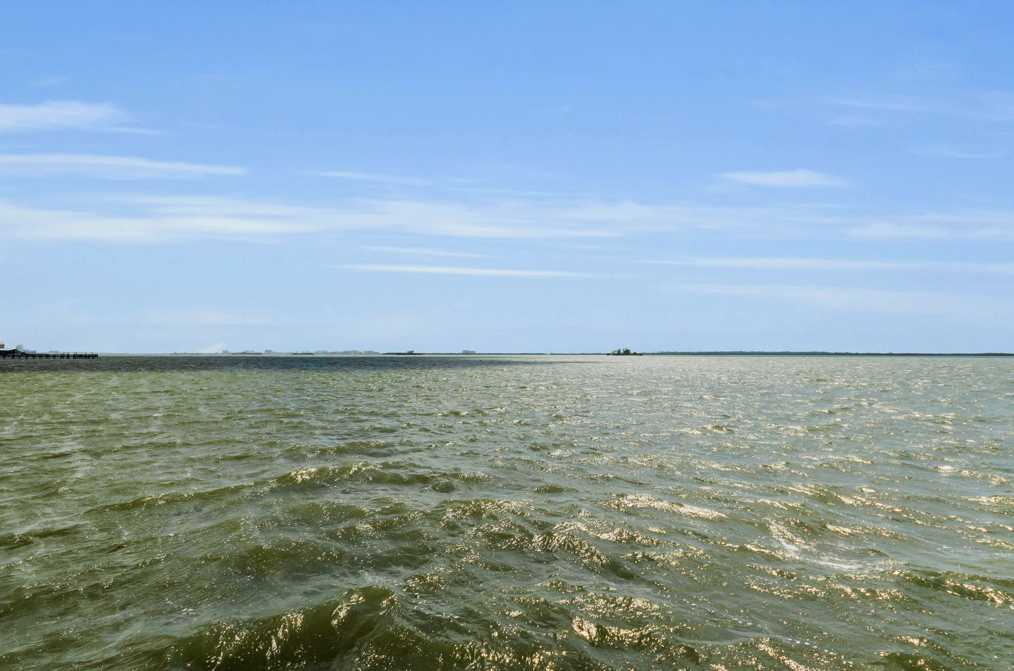 Dock5 View